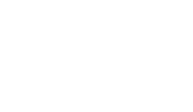 WSU Geburek